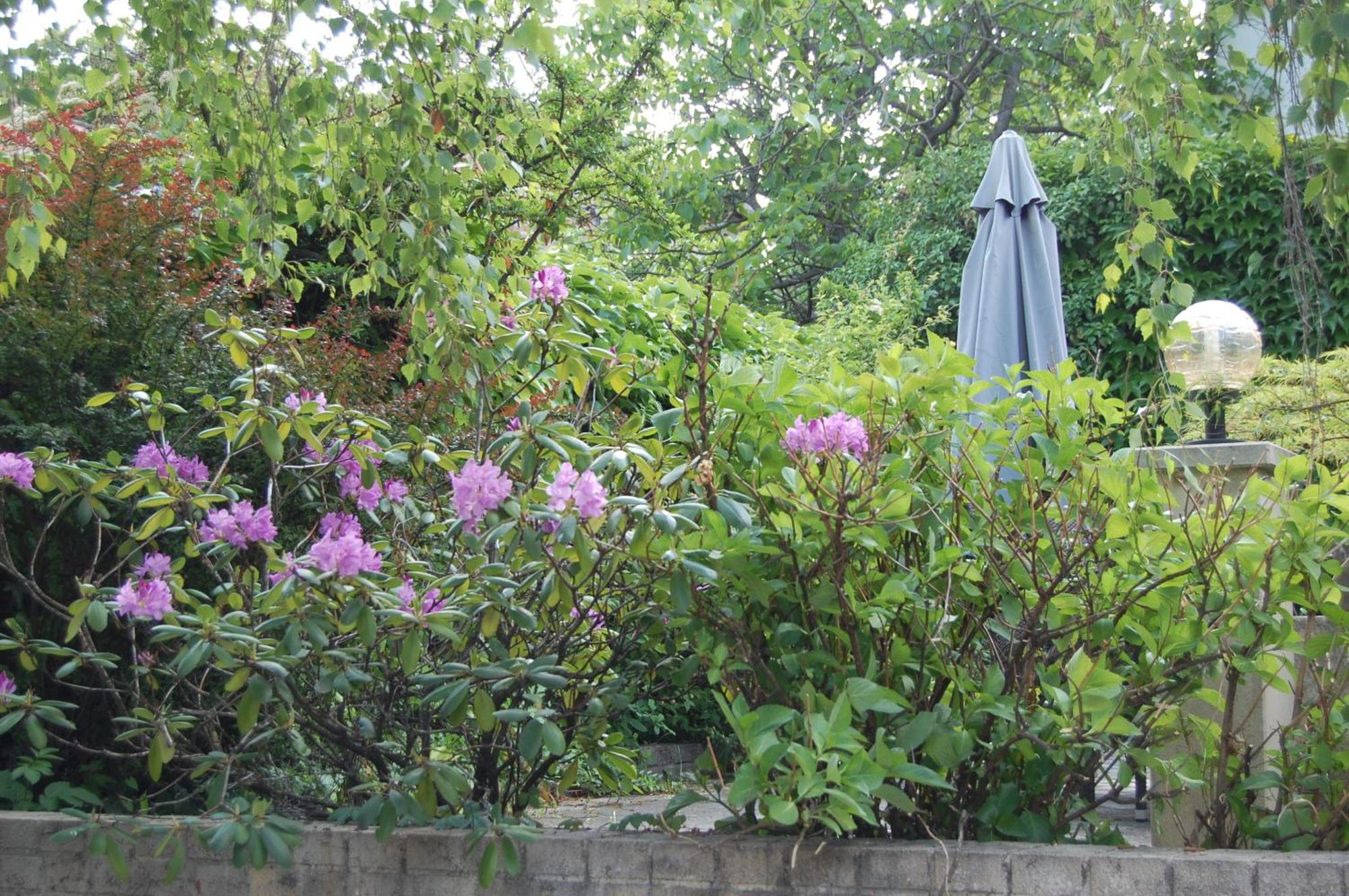 Hofgassl Zentgraf Bed and Breakfast Mörbisch am See Eksteriør billede