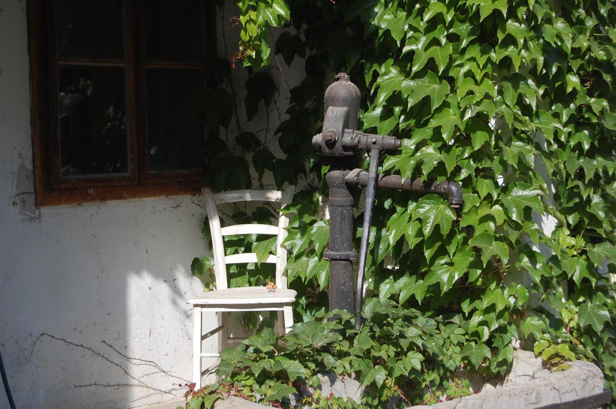 Hofgassl Zentgraf Bed and Breakfast Mörbisch am See Eksteriør billede