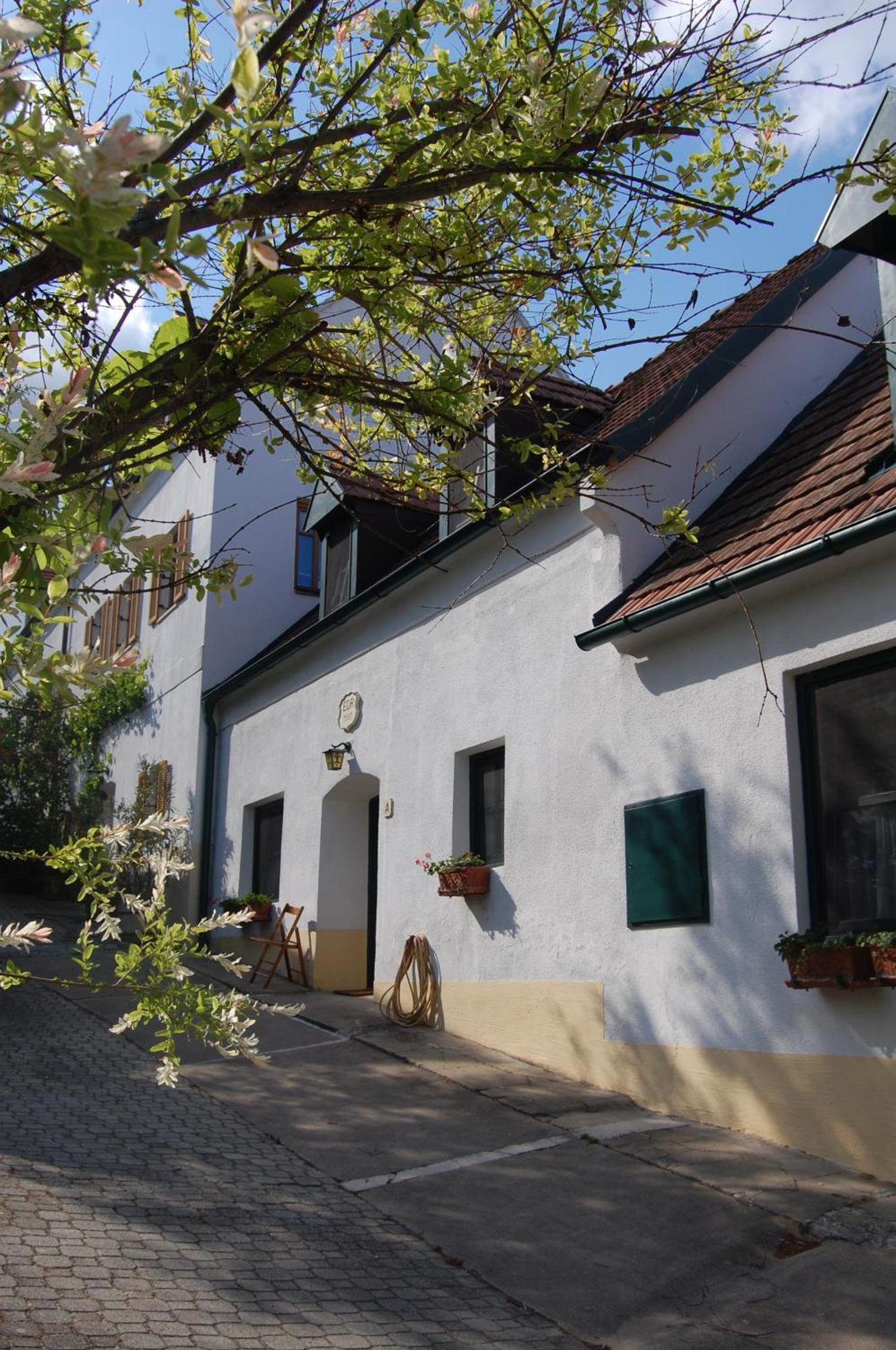 Hofgassl Zentgraf Bed and Breakfast Mörbisch am See Eksteriør billede