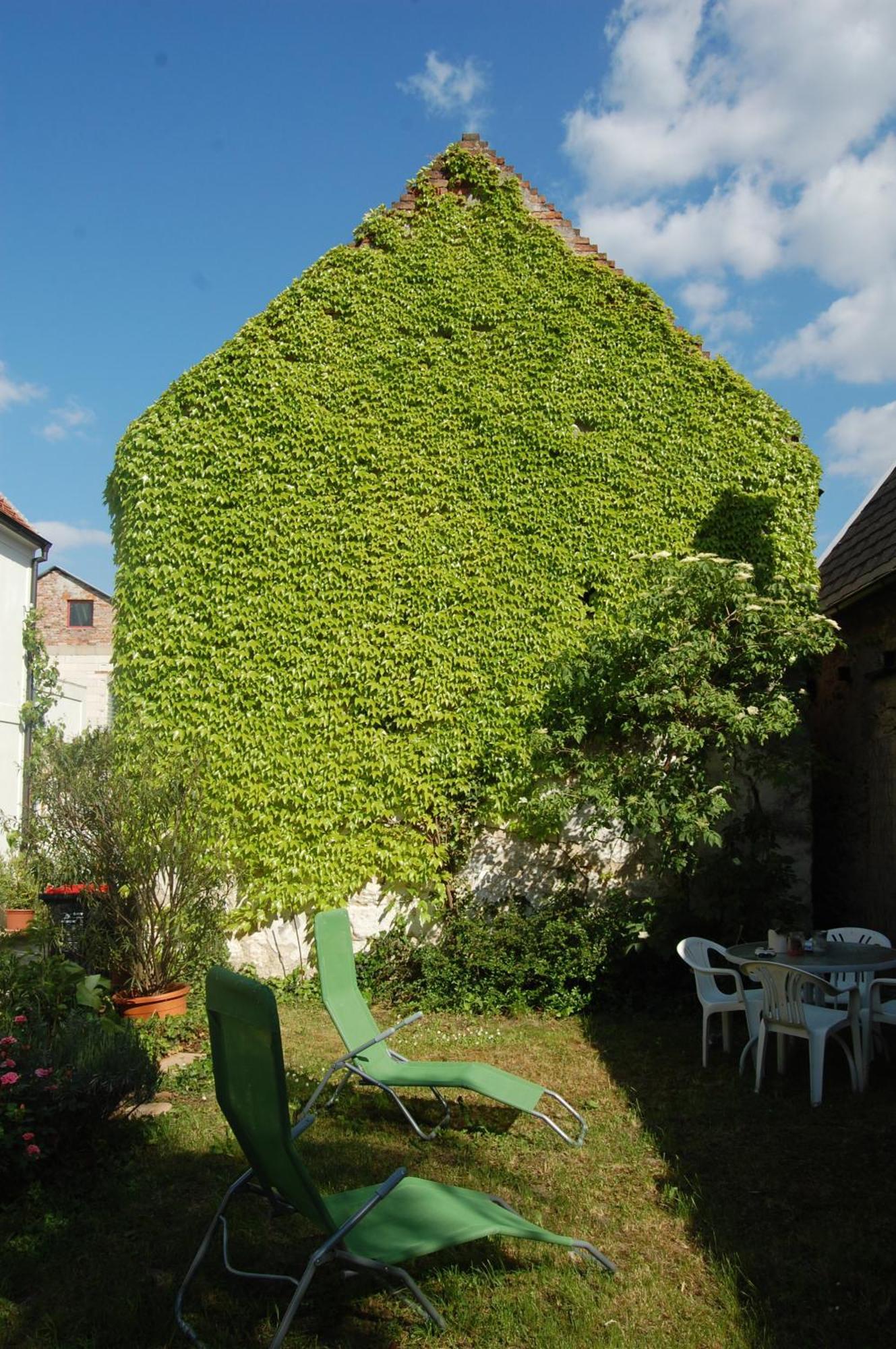 Hofgassl Zentgraf Bed and Breakfast Mörbisch am See Eksteriør billede