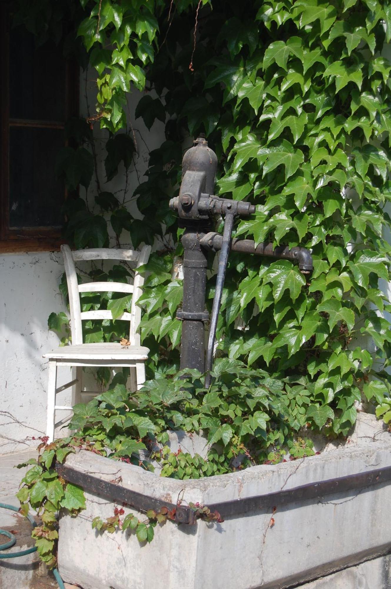 Hofgassl Zentgraf Bed and Breakfast Mörbisch am See Eksteriør billede