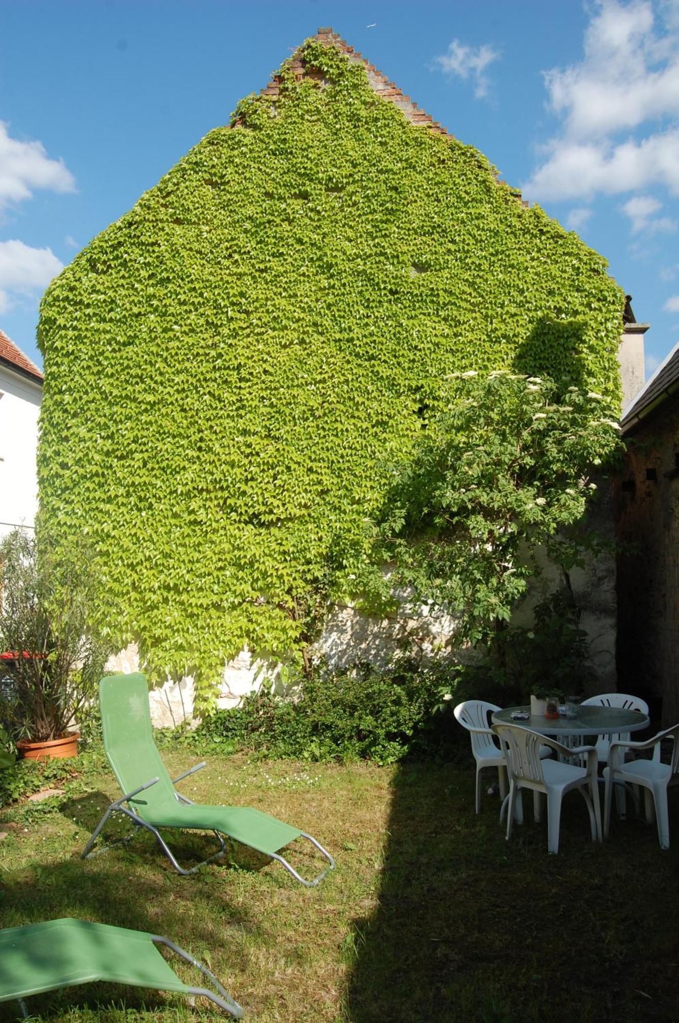 Hofgassl Zentgraf Bed and Breakfast Mörbisch am See Eksteriør billede